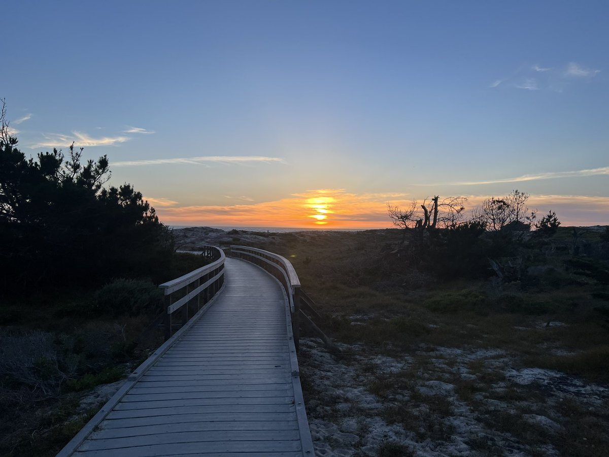 Patricka W-Simon tweet media