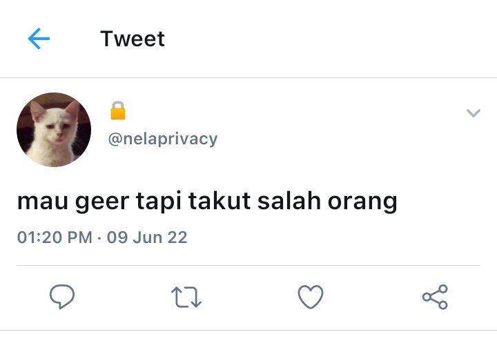 lije tweet media