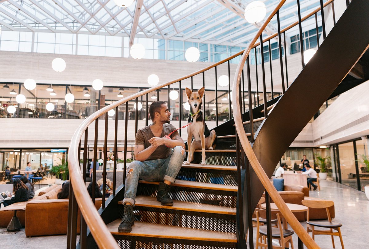 WeWorkIndia's tweet photo. Everyone's welcome here.
#dogsofwework #petsofwework #hybridlife #weworkindia https://t.co/GFIY9SfZOX