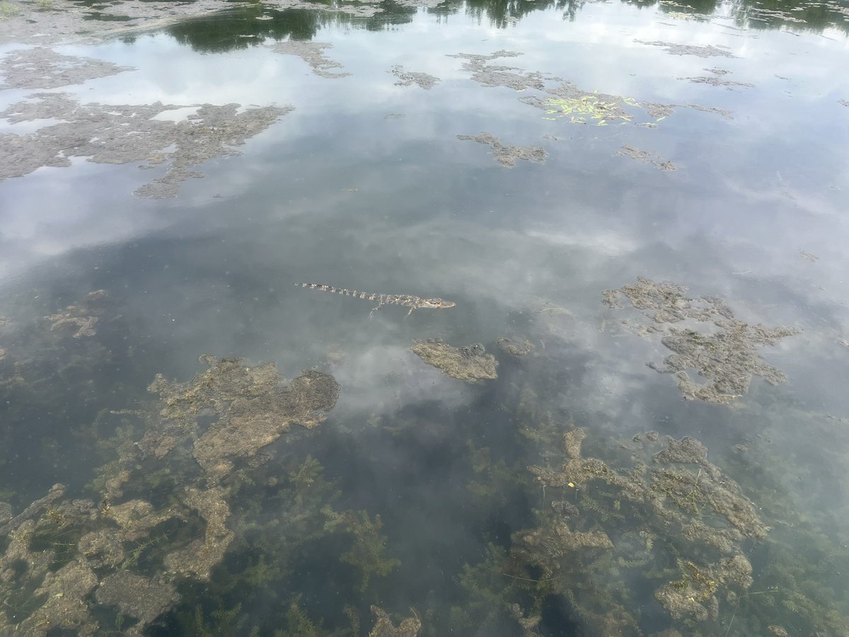 Caitlin Sweeney tweet media