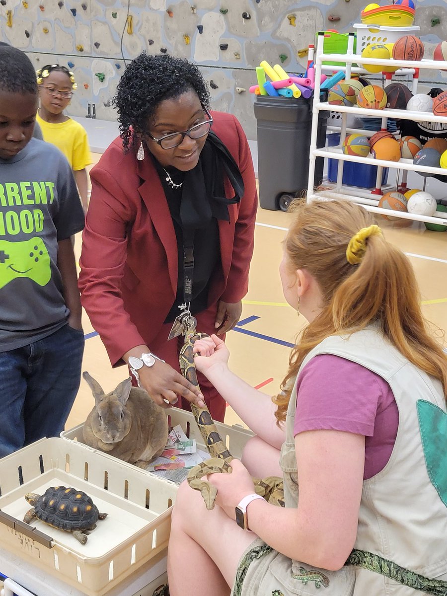 MrsJohnsonWLE's tweet photo. @WayneTwpSuper @tripleI2014 @jastegemann @IXScience Our brave principal touching the animals!!! #wearewayne #summerschool #youreintvited https://t.co/8eh6BxpbhW