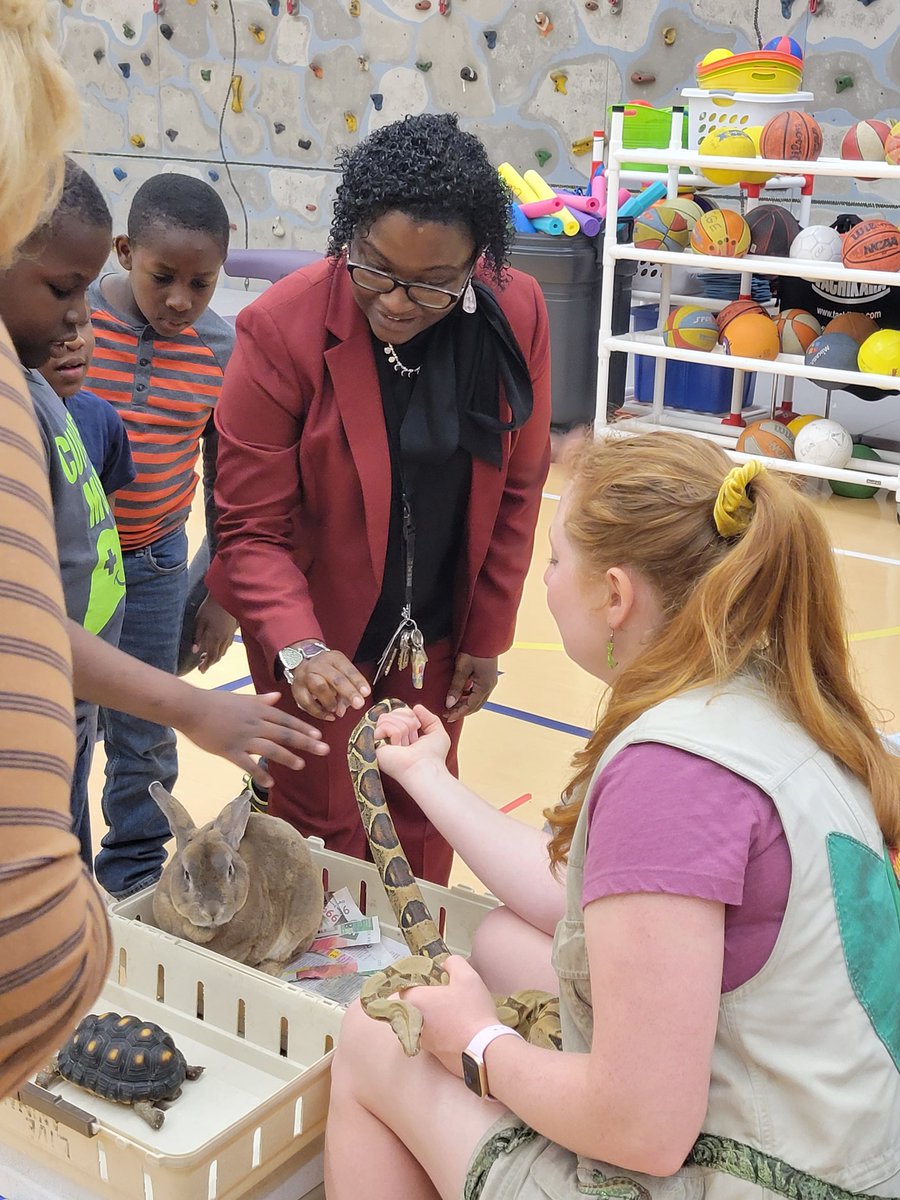 MrsJohnsonWLE's tweet photo. @WayneTwpSuper @tripleI2014 @jastegemann @IXScience Our brave principal touching the animals!!! #wearewayne #summerschool #youreintvited https://t.co/8eh6BxpbhW