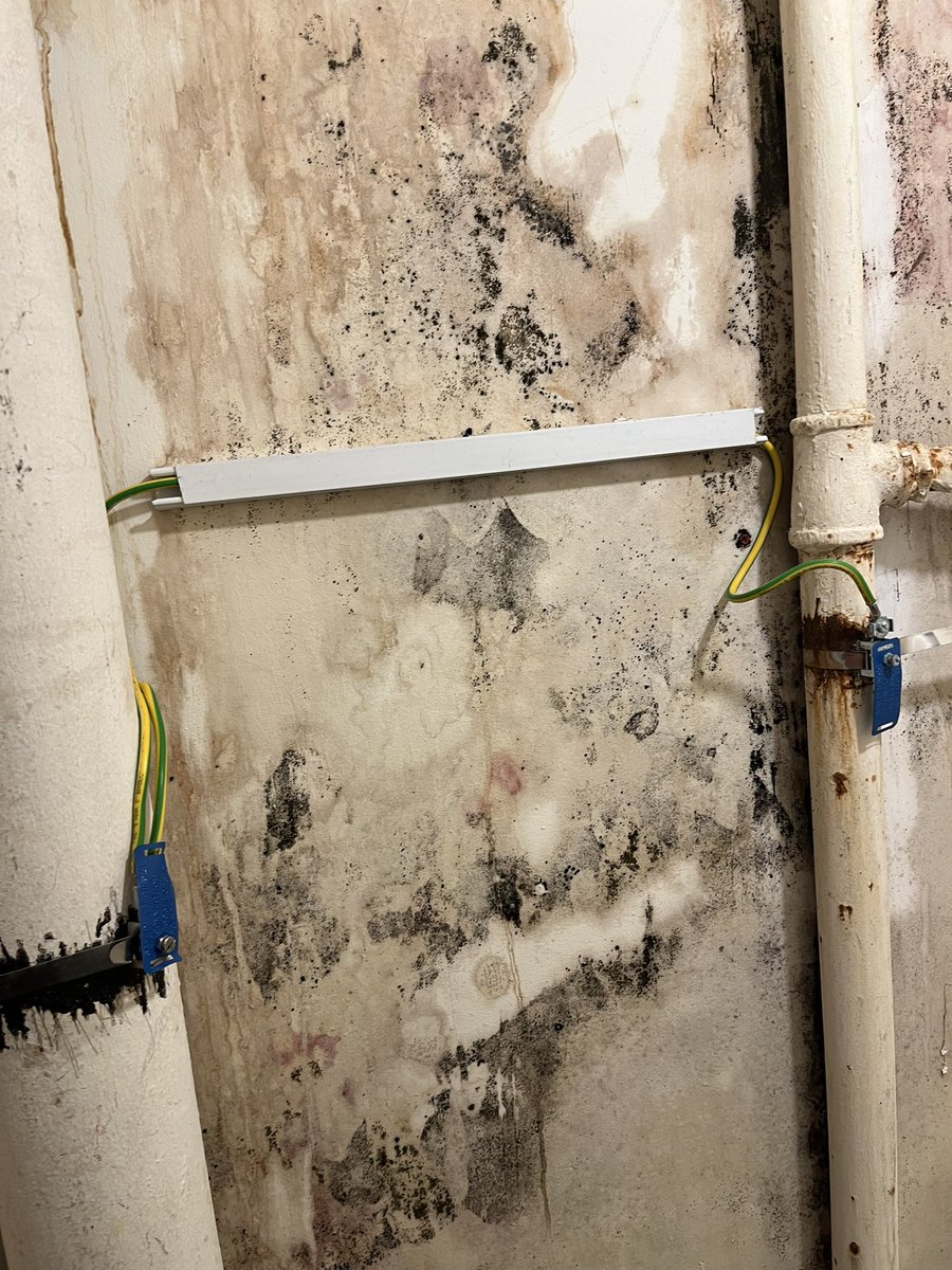 maryreilly's tweet photo. @CamdenLabour @Nash_Ali21 @sabfrancis @Georgia_Gould when I first got the keys I was told to name any repairs that needed to be done as I did as soon as I got to the flat I wrote and email of all repairs needing to be done https://t.co/bwL0TEtWth