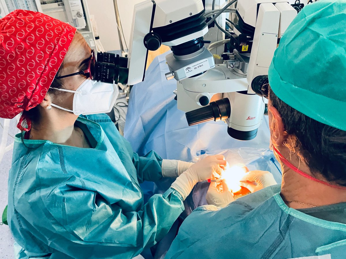 HospitalJaen's tweet image. 🔷#Oftalmología 👓 del @HospitalJaen incorpora un novedoso implante para la cirugía de glaucoma 

🌐hospitaljaen.es/oftalmologia-d… 

#HUJsemueve