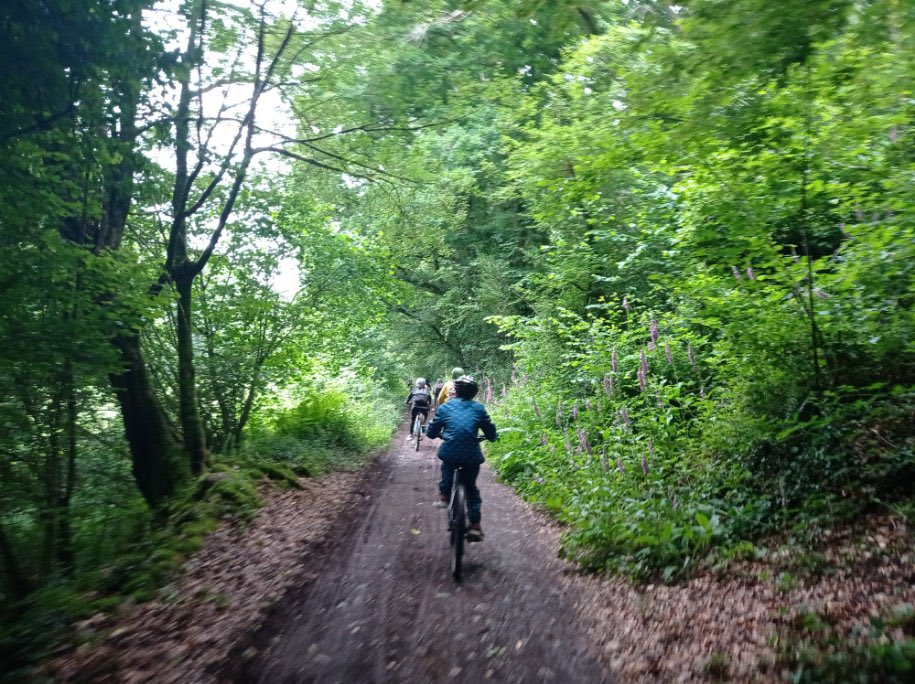 CollegeGavray's tweet photo. Les élèves de 5ème en séjour équitation-VTT parcourent les nombreux chemins autour de Gavray et pique-niquent au centre équestre. https://t.co/enXmffTB58
