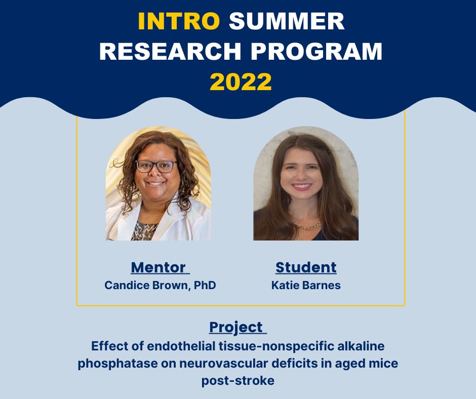 WVCTSI's tweet photo. As the Initiation to Research Opportunities (INTRO) Summer Research Program kicks off next week, we are highlighting this year’s students who will spend eight weeks conducting research in their field of interest with a faculty mentor. Check our FB page for the complete list. https://t.co/e8YceMNmWy