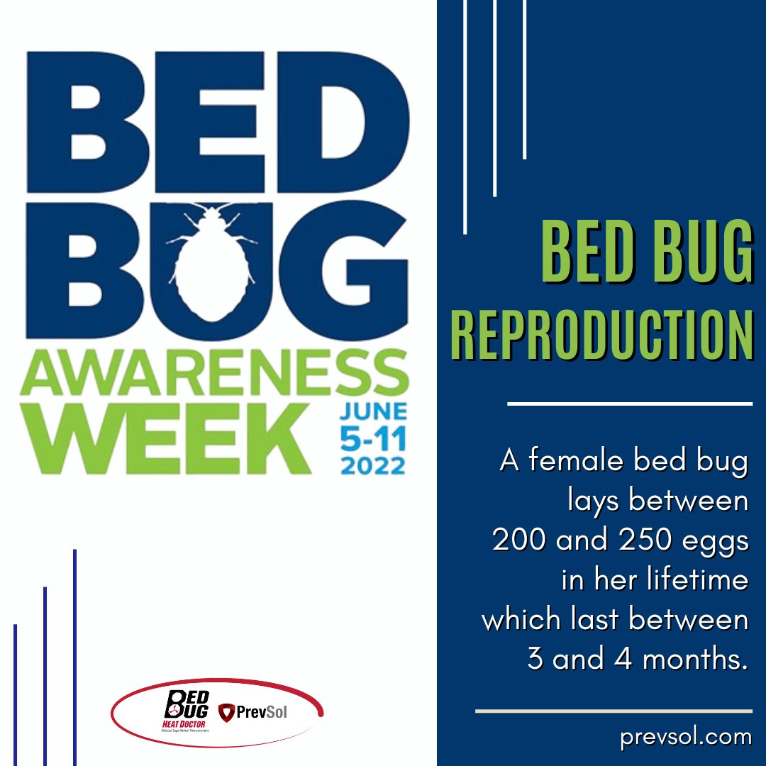 prevsol's tweet photo. It's #BedBugAwarenessWeek.
Did you know that a single female bed bug lays between 200-250 eggs in her lifetime? A typical lifespan for a bed bug in 3 to 4 months. It is easy to see how quickly a small bed bug problem can turn into a full blown infestation. https://t.co/LEkh9CbNeT