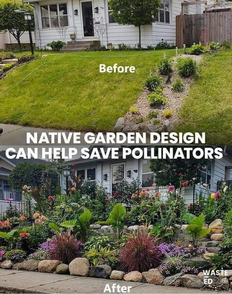 #savethebees ❤️❤️