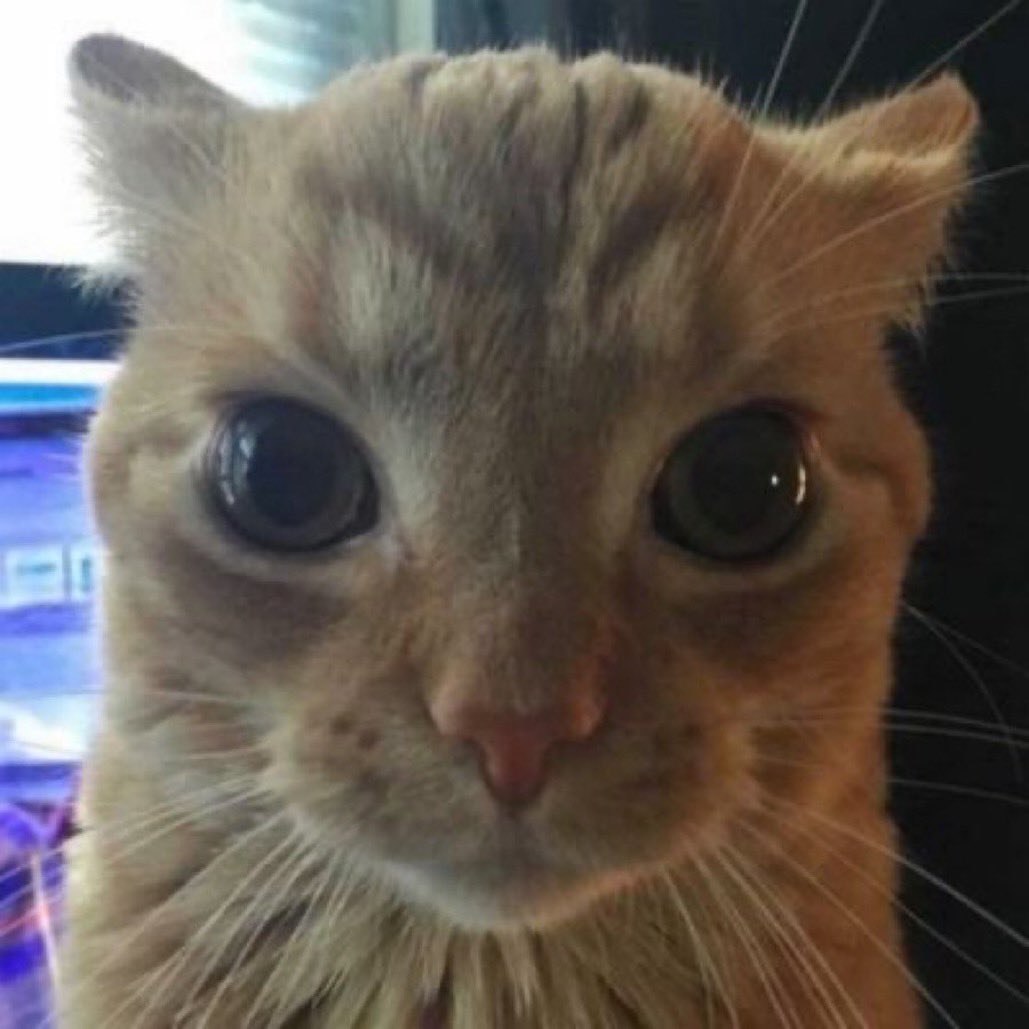 tzuluvrr's tweet image. the physics equation sheet after raising my grade by 90% #gcses2022 #physicsgcse #gcsephysics