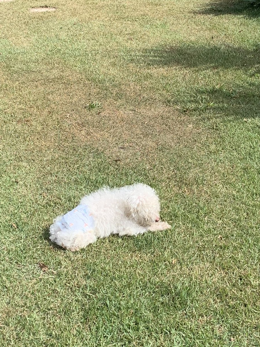 Lucas J Soares  tweet media