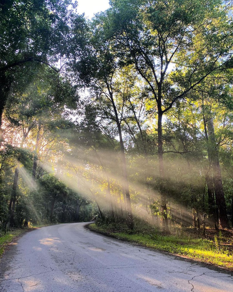 FLStateParksFdn's tweet photo. Rise up today!
IG: @rumbly_bumbly_rv
At Paynes Prairie Preserve State Park
#FloridaStateParks #FloridaStateParksFoundation #FlStateParksFdn #ExploreFLParks #TheRealFlorida #UnlockFlorida #ExploreFlorida https://t.co/zYvOYFZL8k