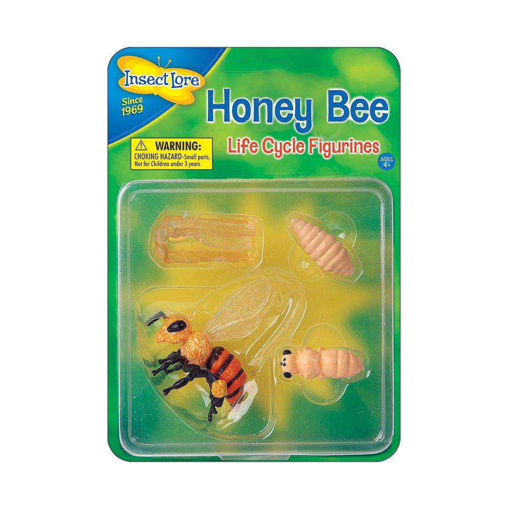 ToysUKStores's tweet photo. See how Honey Bees change as they grow with Insect Lore's Honey Bee Life Cycle Stages, each figure has been accurately painted and sculpted to show the four stages of the Honey Bee development
Visit us in store now to see all our Insect Lore range #InsectLoreUK https://t.co/v2E9RhdGYz