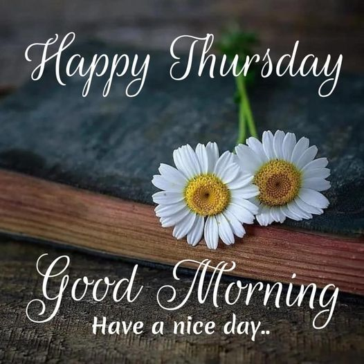 GriffonGrad's tweet image. 