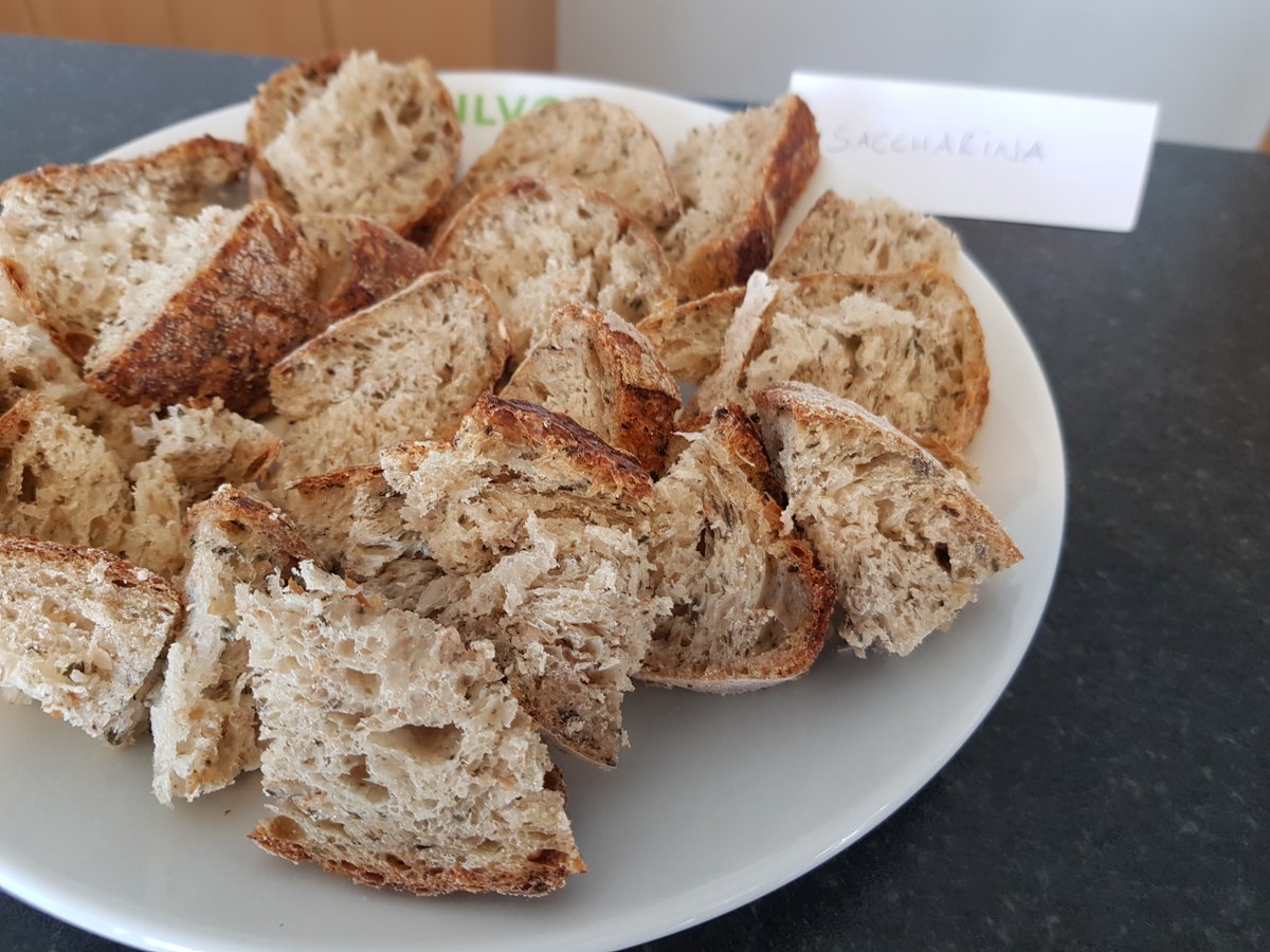 valgorize's tweet photo. 📆 Réunion avec les partenaires du projet ValgOrize :

L'occasion de présenter les #résultats et actions des derniers mois mais aussi tester de nouvelles recettes à base de #macroalgues et de #microalgues. 😊 https://t.co/CRGSElkPlc