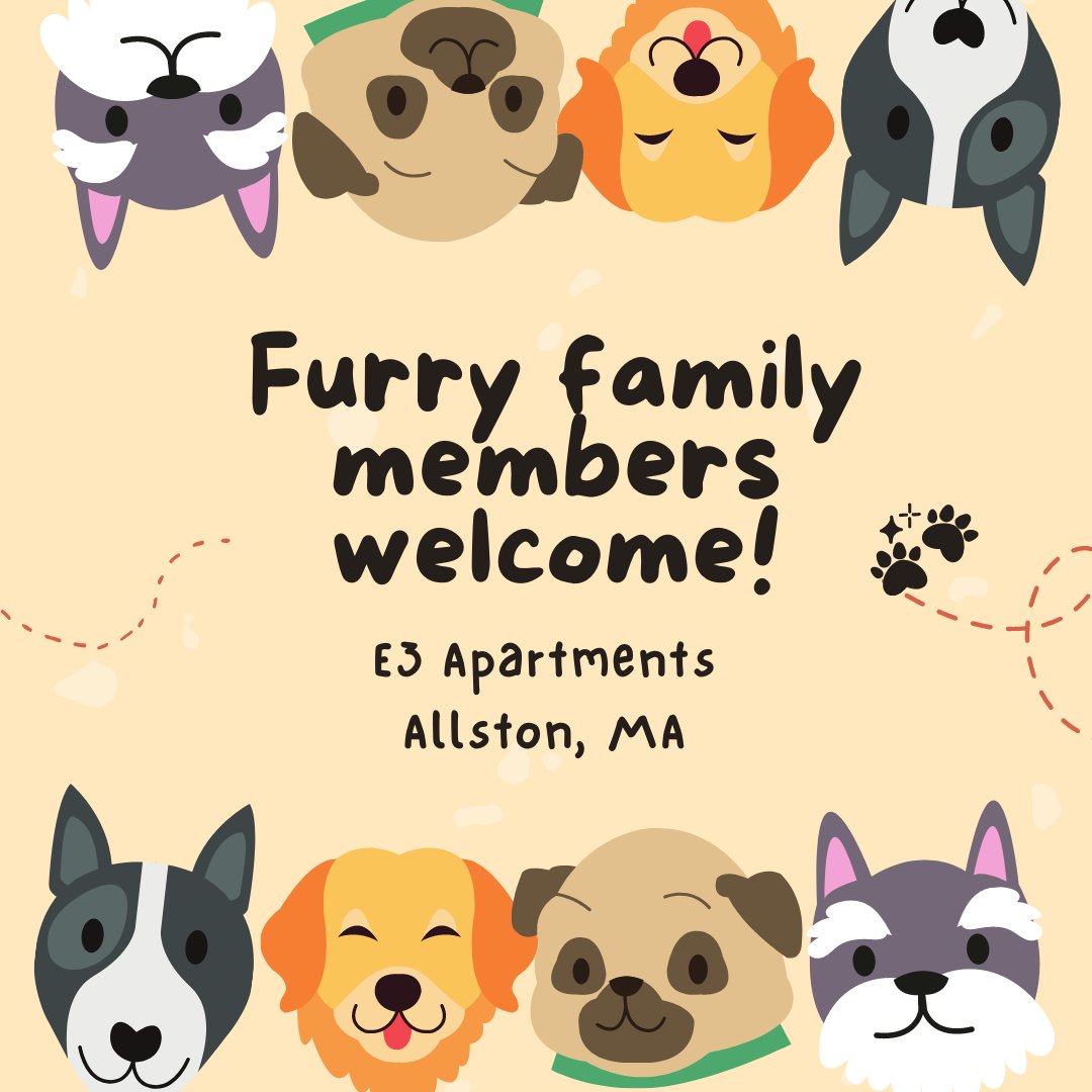 e3apts's tweet photo. Looking for a pet friendly community in Allston? Look no further, E3 Apartments is the place to be! #E3Apartments #AllstonMA #GreenDistrict https://t.co/wzEgTF8IkX