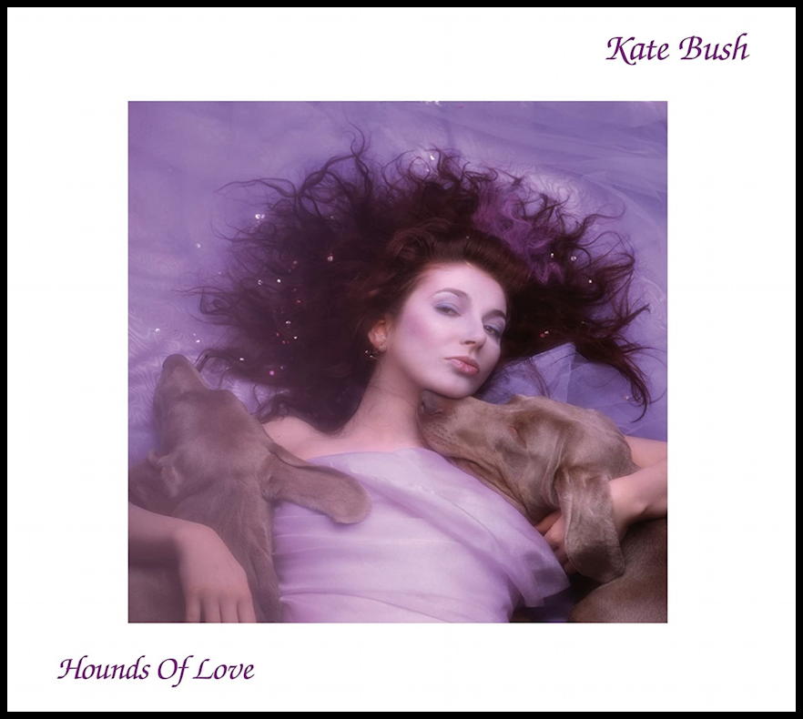 DaveTaylor's tweet image. How much tech can you jam into tiny ANC earbuds? My video preview of the Padmate PaMu Slide 2 ANC earbuds with gamer mode, vocal enhancement, a new control app, excellent ANC, and great sound too: youtube.com/watch?v=sRQ7Ga… #padmate #pamu #pamuslide #earbuds #anc @PadmateAudio