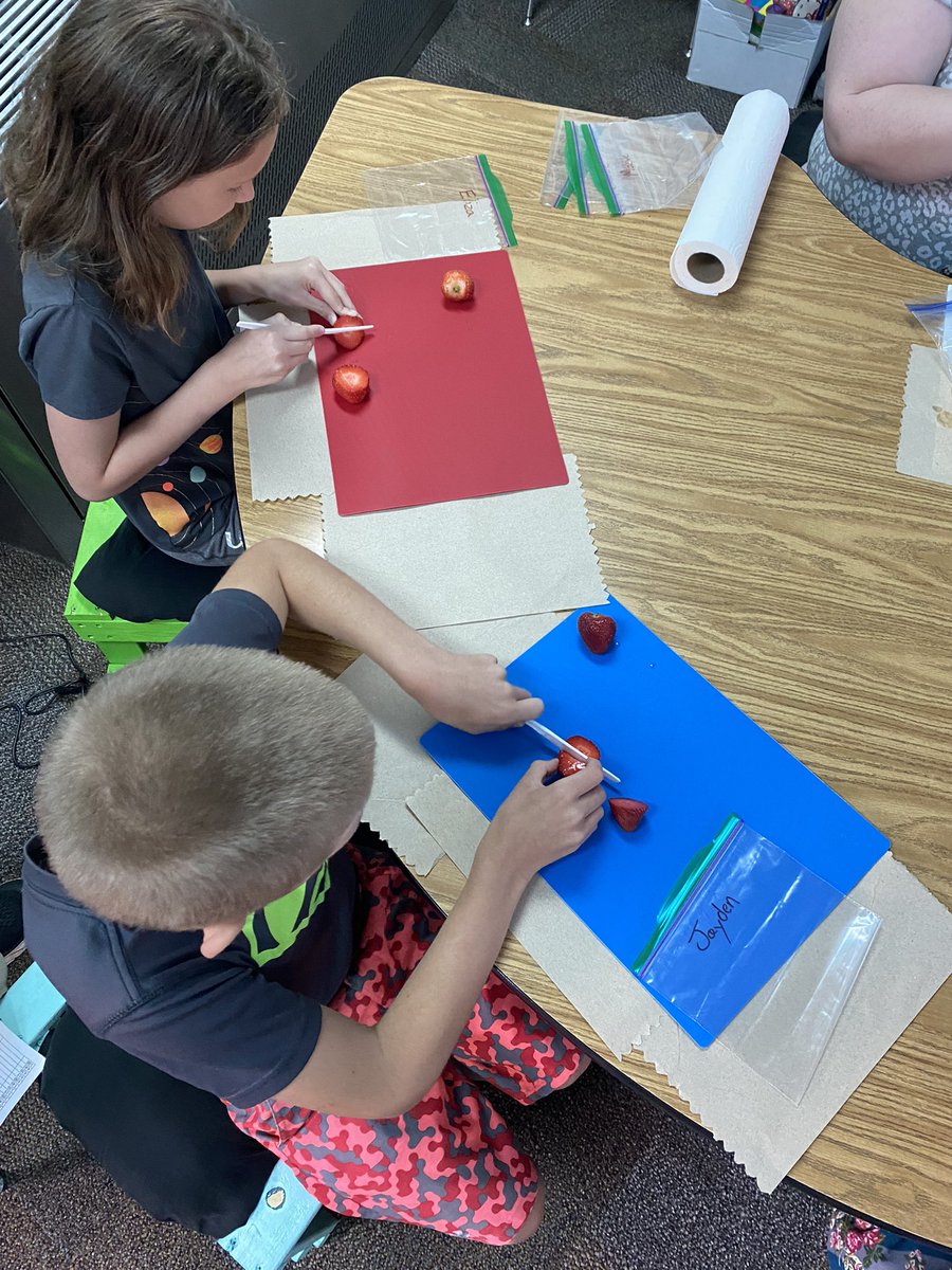 GCS SummerCamp tweet media