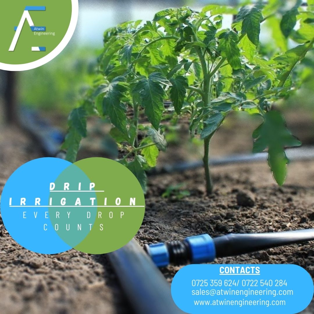 AtwinEngLtd's tweet photo. One drop a day, keeps the plant going all-day.💧🌱
Irrigation today, is a great step for a sustainable future.
Contact us today on 0725 359 624/ 0722 540 284.
#foodsecurity #Atwindelivers #foodislife #irrigation #MadeInKenya Westlands | Kajiado | #IkoKaziKE https://t.co/hcUQvsL6GY