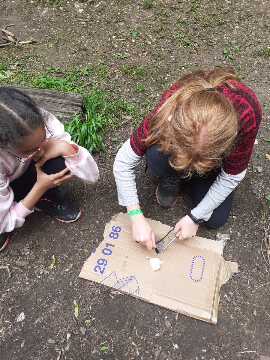 6S Ms Scotchbrook tweet media