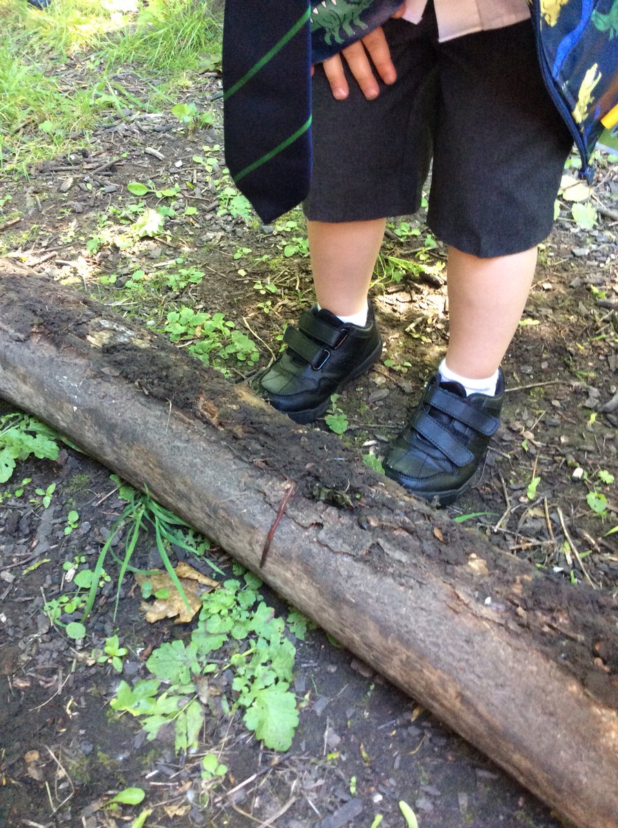 asaleavers28's tweet photo. Today we went on a mini beast hunt on the field πΈππ¦ππππ·#ASAOutdoorLearning https://t.co/vTQi8hFyHi