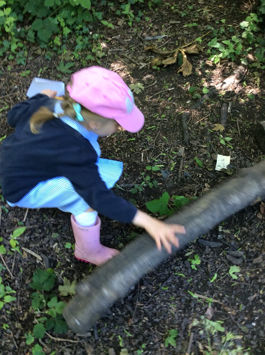 asaleavers28's tweet photo. Today we went on a mini beast hunt on the field πΈππ¦ππππ·#ASAOutdoorLearning https://t.co/vTQi8hFyHi