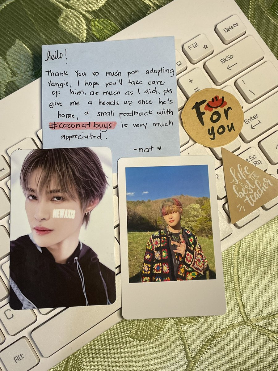 jaehlele's tweet photo. [ 💌 ] #jaehleceived | #coconatbuys 

hello @1026kartt thank you so much for letting me adopt yangyang !! he arrived safely kanina 🫶🏻 https://t.co/NuDC0Tfq4q