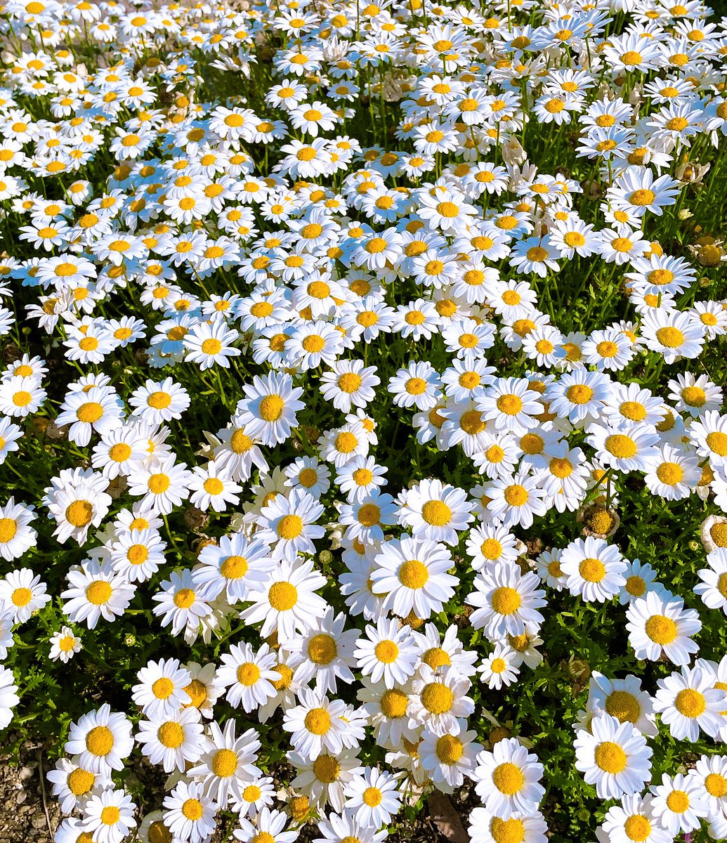 流風 藍@流藍 tweet media