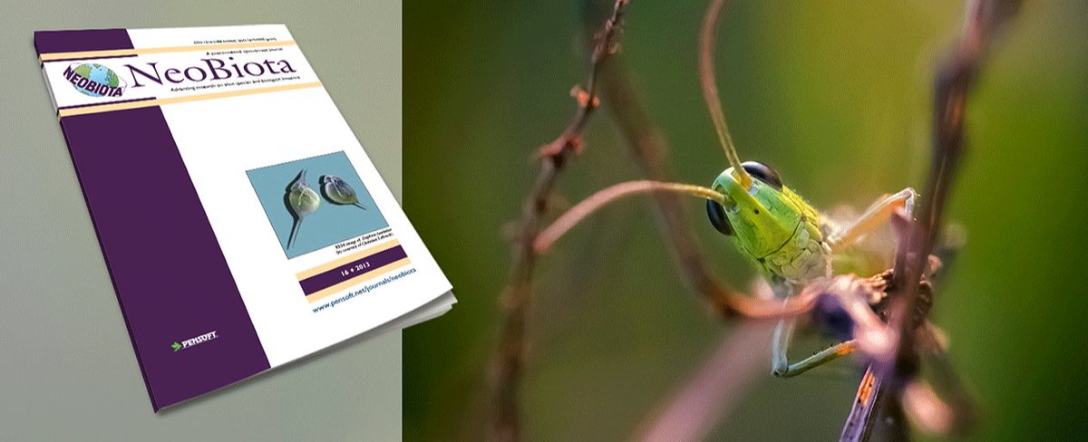 NeobiotaJournal's tweet photo. 🎉 Kudos to our editors, authors, reviewers & readers! New record high #ScopusCiteScore: 5.8 & Q1 for all 7 categories:
🔝Animal Science & #Zoology
🔝#AquaticScience
🔝Ecological #Modeling
🔝#Ecology
🔝Ecology, Evolution, Behavior & Systematics
🔝#Insect Science
🔝#PlantScience https://t.co/TRjvrk3pta