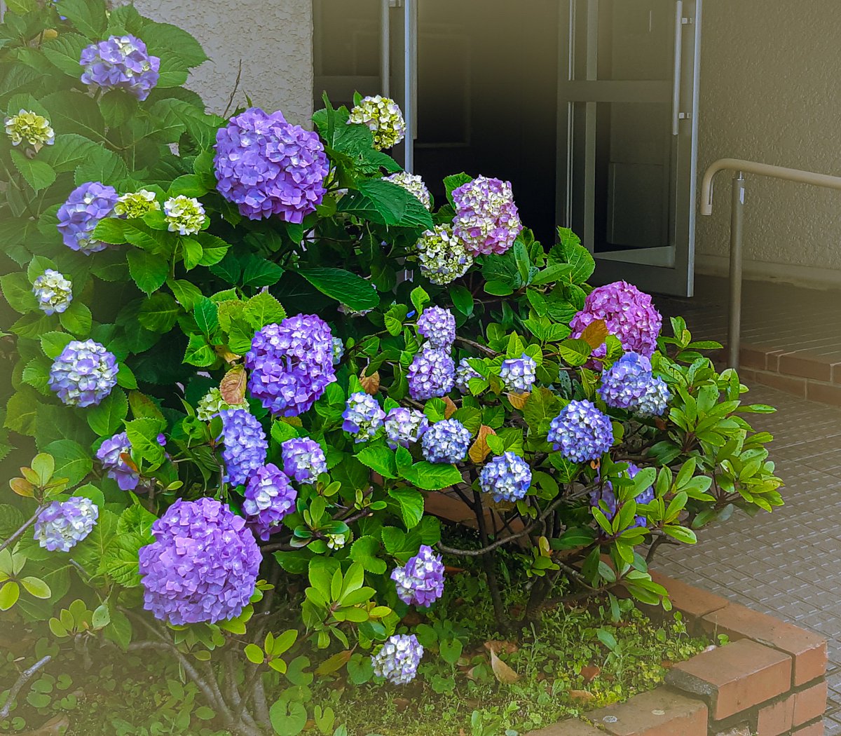 nobuko_chan_mo's tweet photo. ガス給湯器が故障して、近所の方が「修繕待ち」と貼り紙してくださっていた。
～するように。～しないこと。などと違って、そのひと言に深い知恵と配慮を感じます。
周りの方々に見守っていただいている母の日常。こんなに‘お陰様’という言葉を使ってお礼を述べたことはありませんでした。
#認知症 https://t.co/3BSZ6vZr5K