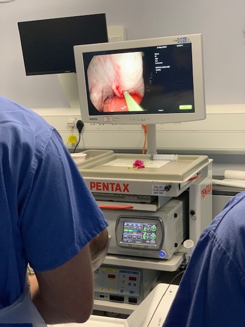 EYSETRAINING's tweet photo. Missed out on our last Upper GI therapeutic #endoscopy course? Next JAG course September
https://t.co/VRqEEIdITK
#varicealbanding #endoclip #gluing #dilatation #bleedingulcer
@JAG_Endoscopy @RCSEd @RCNGastro @BritSocGastro @NHSHEE_NEY @RCSnews https://t.co/2mx90yxEQG