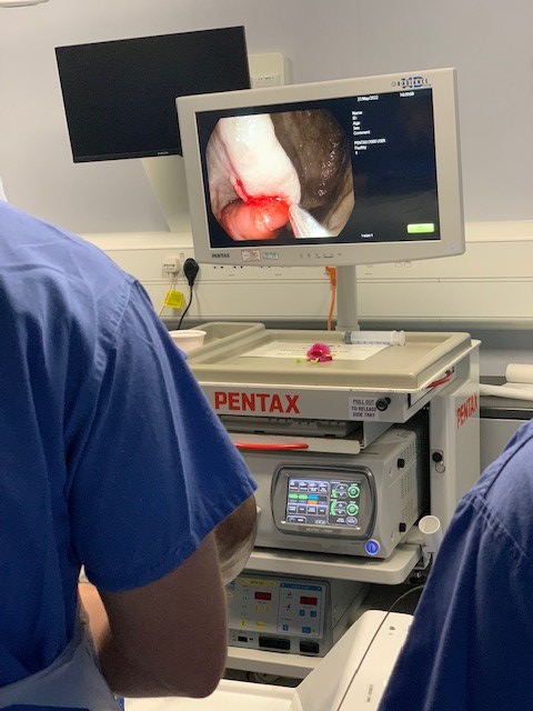 EYSETRAINING's tweet photo. Missed out on our last Upper GI therapeutic #endoscopy course? Next JAG course September
https://t.co/VRqEEIdITK
#varicealbanding #endoclip #gluing #dilatation #bleedingulcer
@JAG_Endoscopy @RCSEd @RCNGastro @BritSocGastro @NHSHEE_NEY @RCSnews https://t.co/2mx90yxEQG