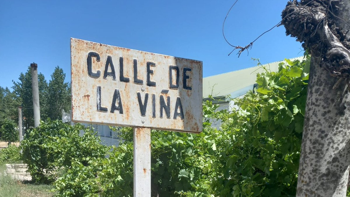 El próximo curso académico imparten un nuevo ciclo de Grado Medio de la Familia AGRARIA
C.F.G.M. Técnico en aprovechamiento y conservación del medio natural

Gracias por dejarnos vuestras instalaciones para la innovación y formación del <a href="/CRIFAcacias/">CRIF Las Acacias</a> 
@cpfpvid #IFC_Madrid