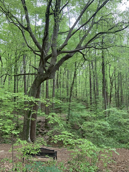 My favorite bench 💚 https://t.co/VMZVMVom3X<a href="/tag/thongthursday"class="tags"><span>#thongthursday</span></a>