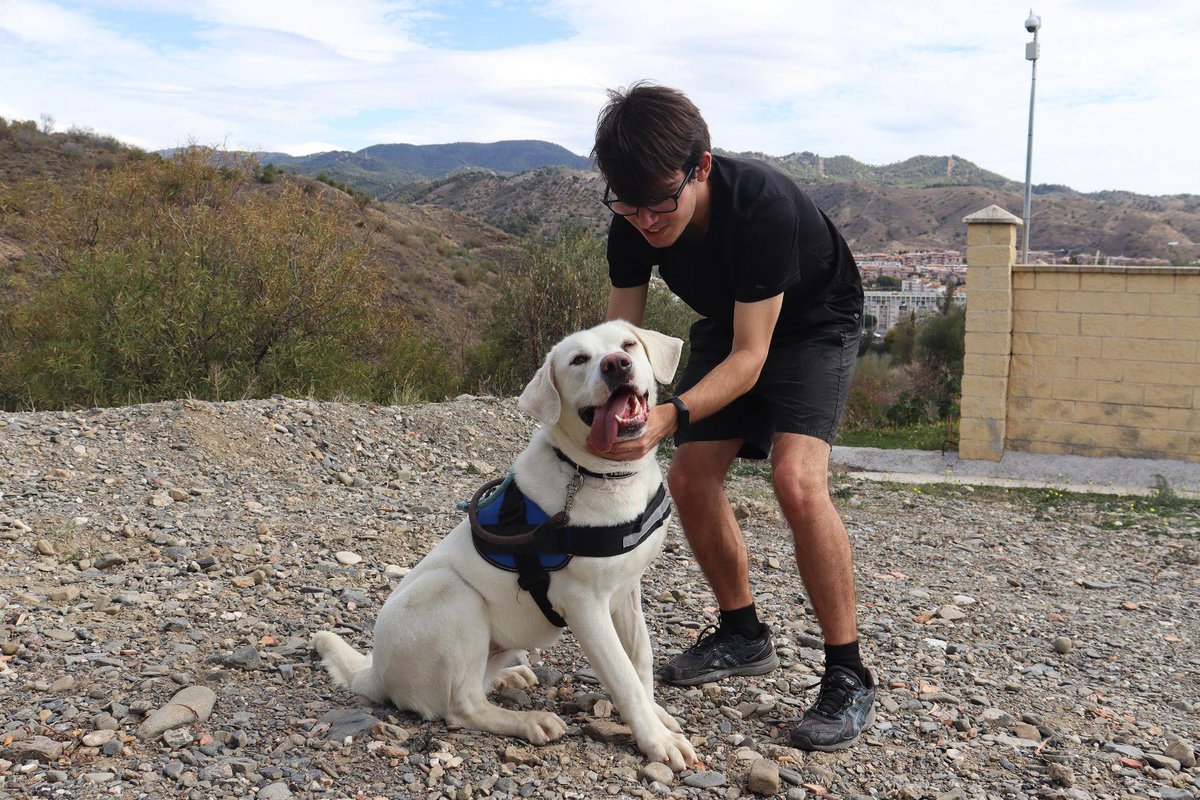 protemalaga's tweet photo. Celeste, 3 años, tamaño grande.
Es muy activa y sociable con otros perros con los que adora jugar. Le encanta recibir muchos mimos.También es sociable con gatos.
Correo: moduloc@protectoramalaga.com https://t.co/r9v32TWYLw