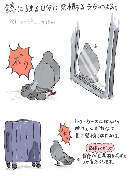 鏡に映る自分のtwitterイラスト検索結果