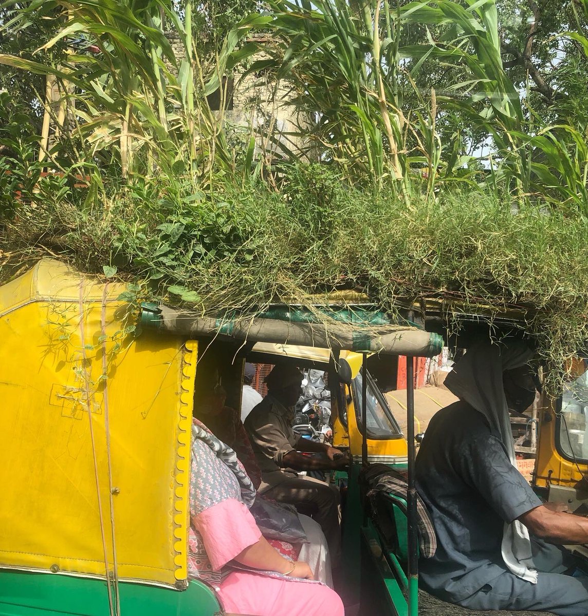 sabsunle's tweet photo. #worldenvironmentday  Look closely - he has grown #plants on the roof of his auto rickshaw! This Samaritan of our #planet has shown us how simple it is carry your #cause along with your work. Teaching us a thing or two about the importance of #green #environment @GretaThunberg https://t.co/wO8ZAhTZAi