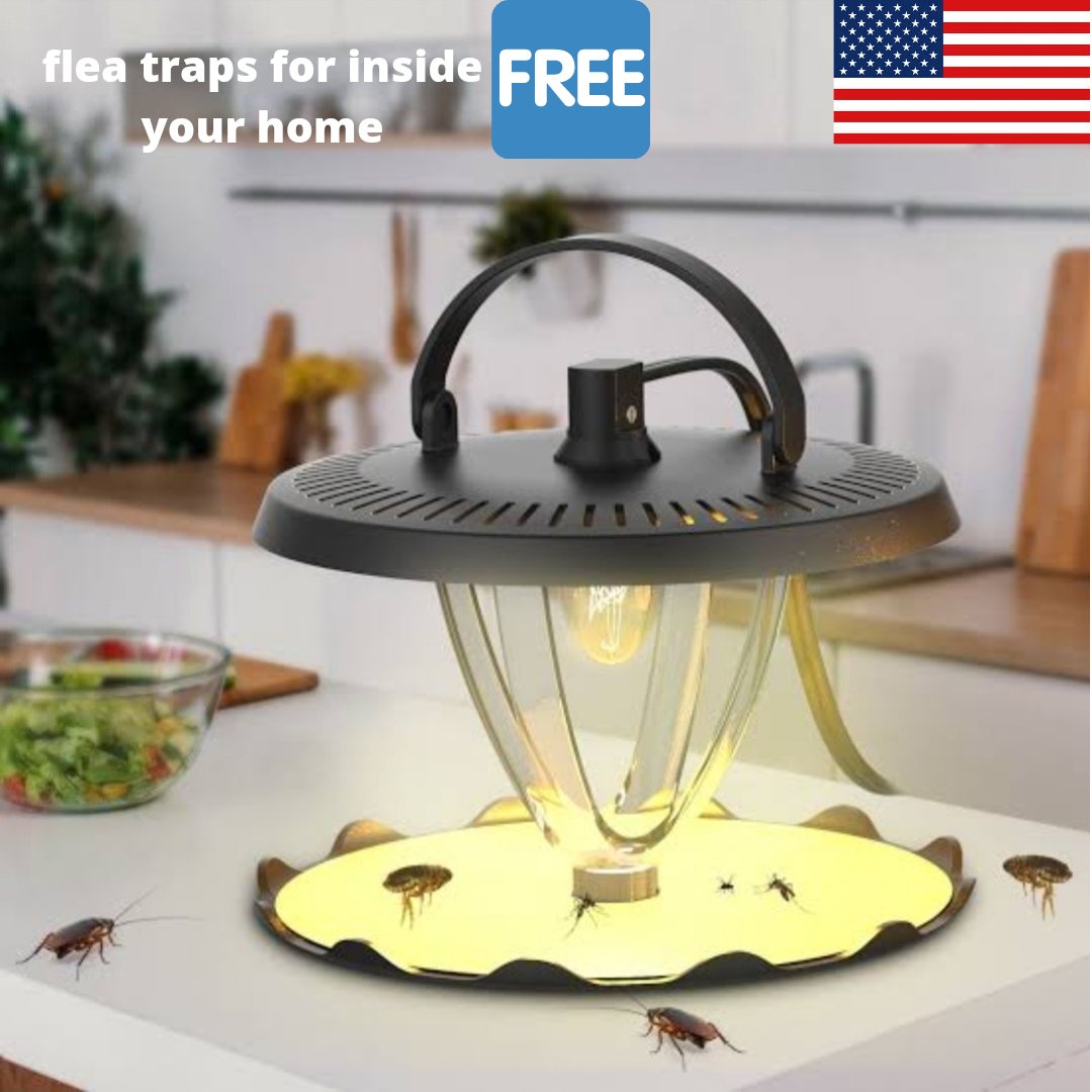 RobinFreebies's tweet photo. F.R.E.E for USA only
🔥 if you interested get f.r.e.e products DM ✉️ me
1️⃣ Re*fund after re*view
2️⃣ p@yp@l fee &amp; texes covered

#flyinglotus #flyfishingguide #flysafe #insectstagram #insectsworld #killerbees #amazonfreeproducts #homeproducts #amazonproducts #homemadeproducts https://t.co/7MQ7az2GNu