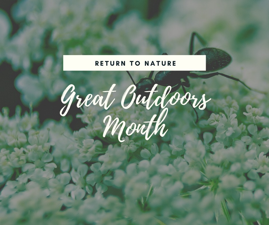 TXAggieChick's tweet photo. Whether you hike or bike the trails, kayak or canoe the many rivers and canyons or pitch a tent in the forest or on a hillside...go outside and take in the awesomeness of the world! It's National Great Outdoors Month!🚲🚵⛺
#GreatOutdoorsMonth #goexplo… https://t.co/u6yC0Am7pv https://t.co/FYDRuEduM8