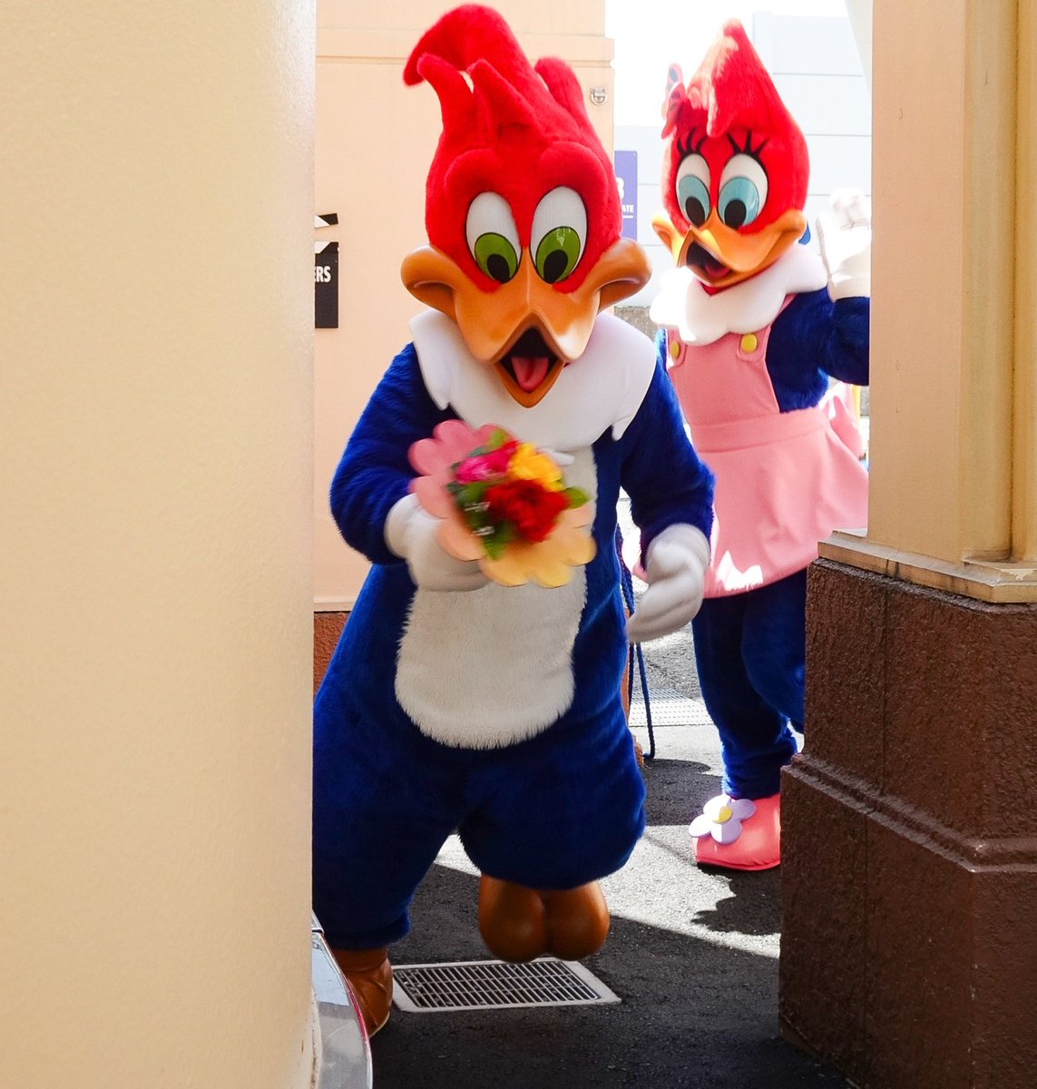 EtiaCSXZDkkpdbs's tweet photo. ﾋｮｺｯ!ﾋｮｺｯ!ﾋｮｺｯ!そんなんしてる場合じゃないっ🏃💨
ウッディーとウィニーちゃん🤣
#ThanksLoveWeek💐
#USJ
#USJファン

#再チャレンジ1日1ウッディーかウィニーちゃん
160日目 https://t.co/cJ3DzUgn6J
