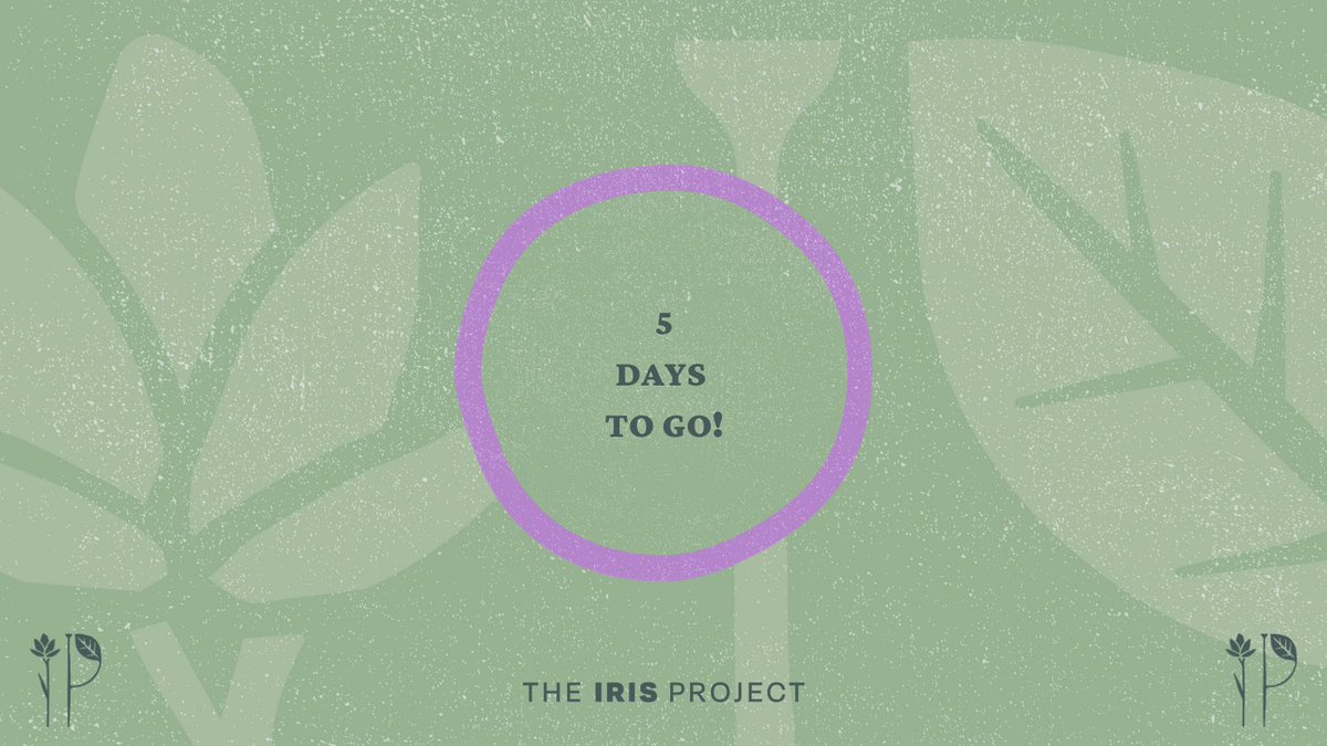 theiris_project's tweet photo. 🏆Only 5 days to go until we close applications for this year's Seed 🌱, Stem 🌿and Iris Prize💚!

Deadline: Tuesday, June 14th at 9am GMT.

🎬Share! Nominate! Apply!🎬 https://t.co/LJHTbYzV0Z
