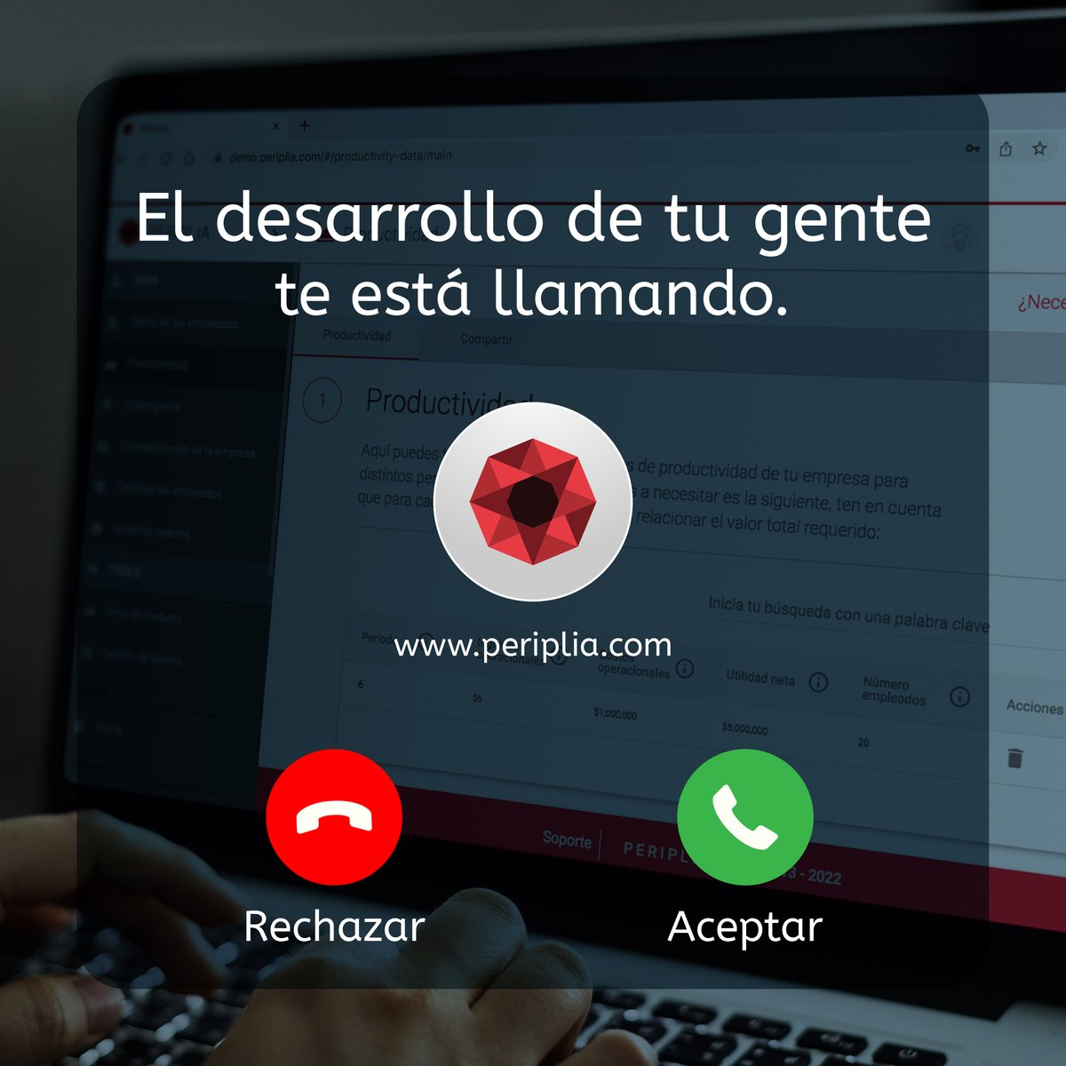 Periplia tweet media