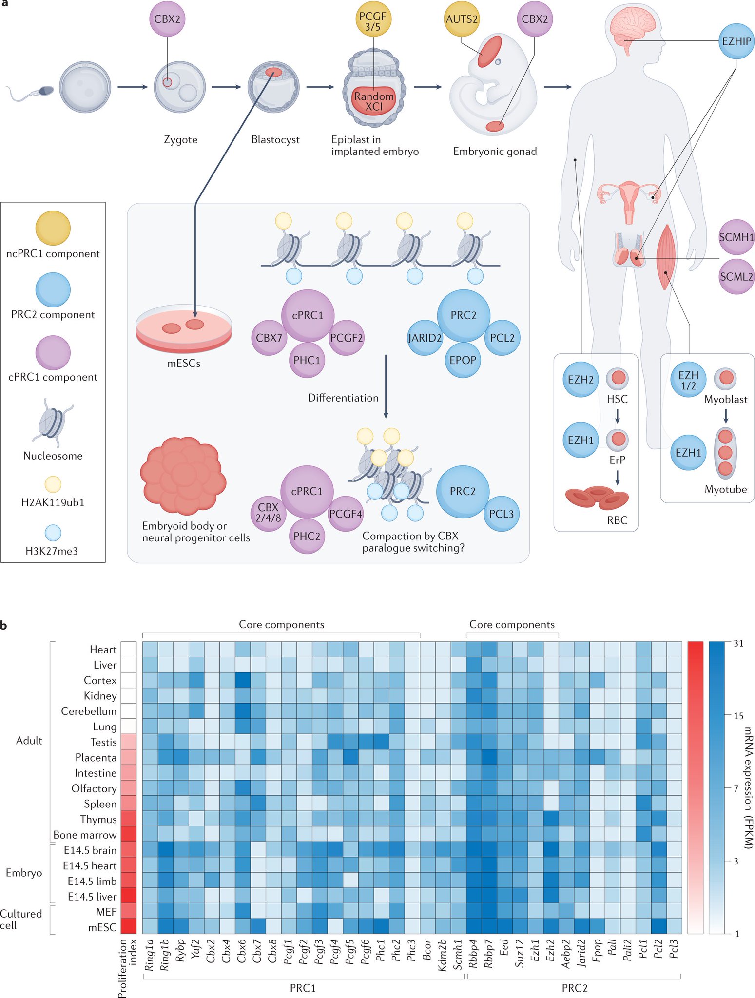Nature Reviews on Twitter "Understanding this complexity