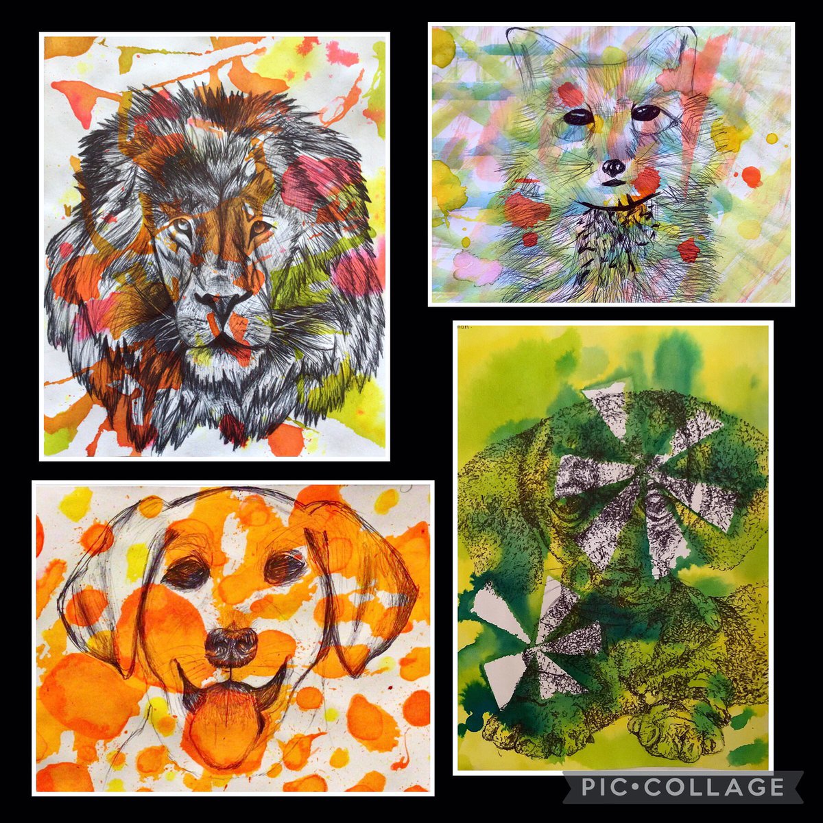 lgsartists's tweet photo. #LGSCreative Y9 art students created their own backgrounds using colourful inks then added pen drawings for the Animal Kingdom project. work by Kierat, Leo, Zaynab and Shreelakshmi https://t.co/3VF1XqsBx2