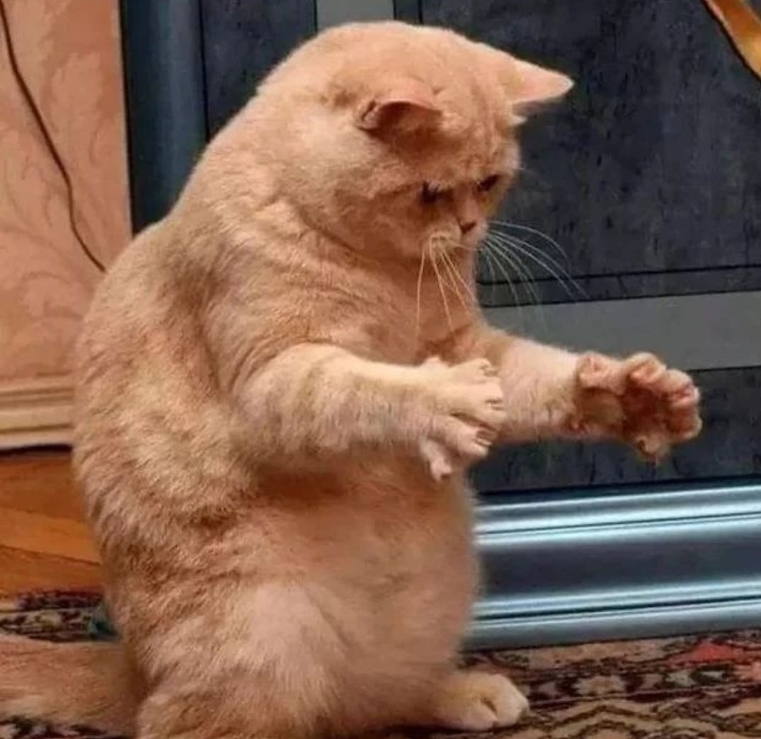 malacarasev's tweet photo. DECEANDO TOMARME ECE MOCADILLO DE MERVA CON PIMIENTO MORRON PERO RESURTA QUE YA NO ECISTE ESE DELISIOSO MOCADILLITO CON TODO SU MEJUNGE DEBIDO A KE HE LO HE INGERIDO EN APENA SENTESIMA DE CEGUNDO Y HA DESAPARESIDO https://t.co/s2MELfDmkZ