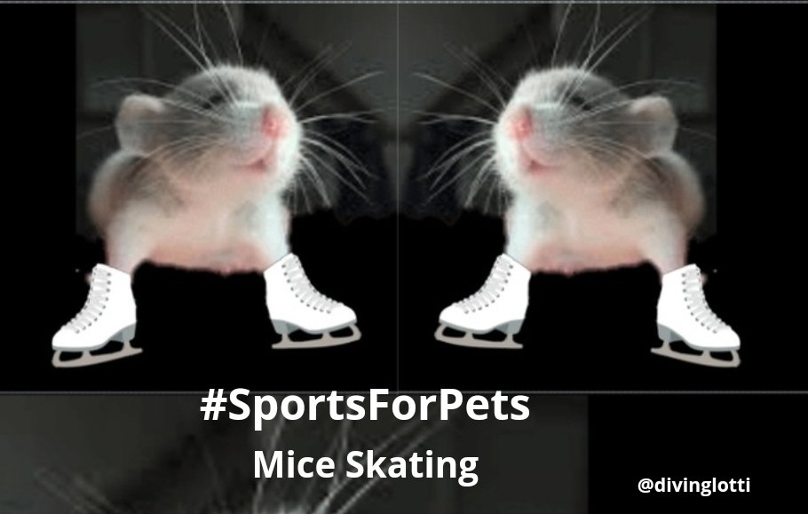 divinglotti's tweet photo. One Minute Brief of the Day:
Advertise #SportsForPets
@OneMinuteBriefs https://t.co/43kpcFbA4h