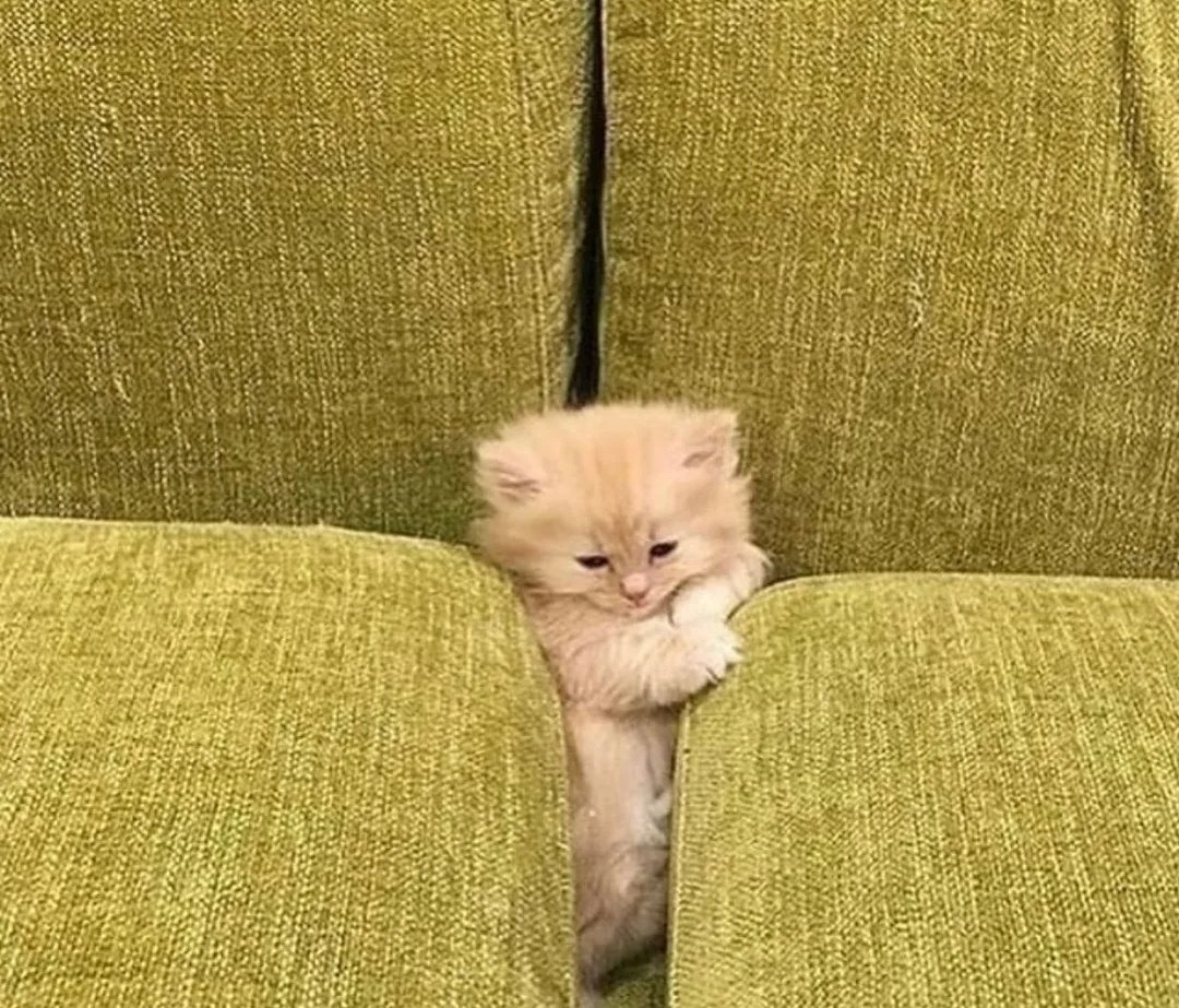 INTENTANDO ESCAPA DE LOS POBREMA DE LA VIDA ADURTA PERO NO SE HASERLO PORKE SOY XICO