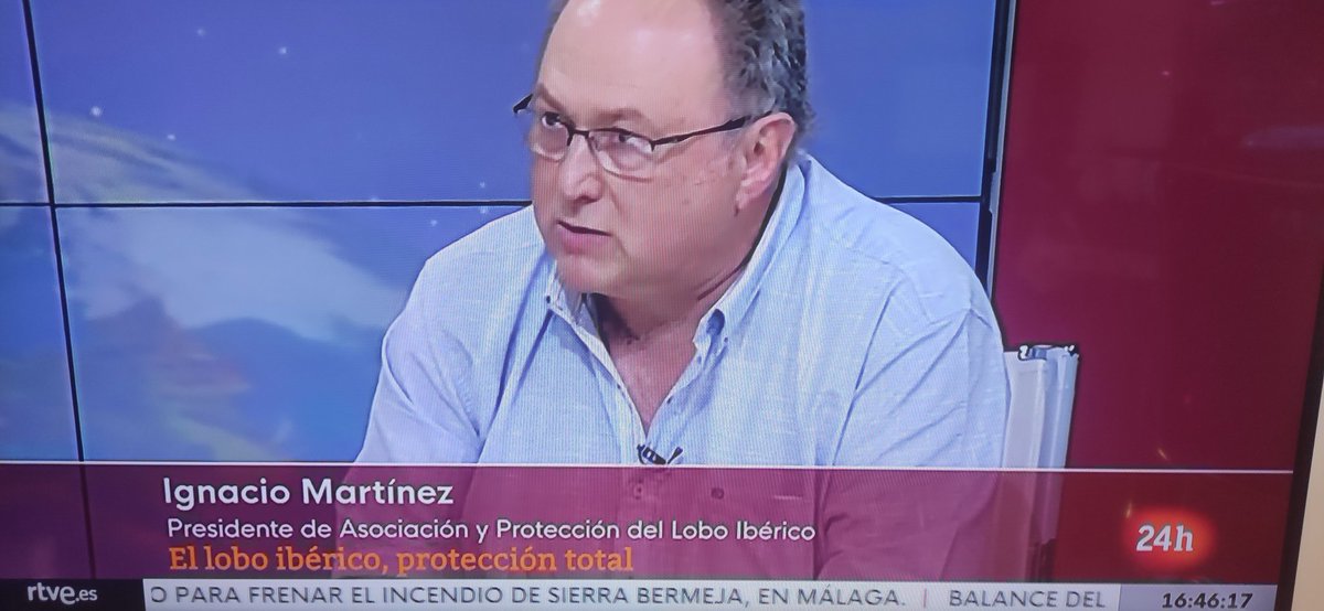 No se da dinero público para matar lobos. La PAC obliga a compromisos de sostenibilidad ambiental. 
#ObjetivoPlaneta, en #Cana24hTVE, conducido por @lorenzomila, programa sobre 'el lobo ibérico, protección total'