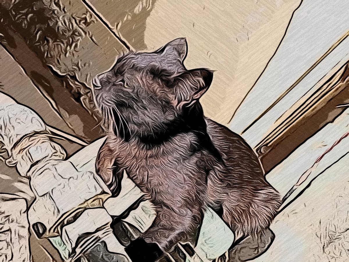 AMK NFT art tweet media