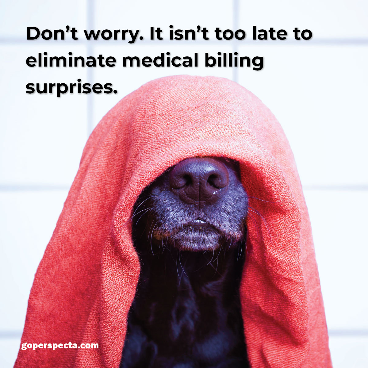 GoPerspecta's tweet image. Let us give you a holistic provider directory with transparency in coverage built in. We&apos;d love to show you a demo.  
hubs.ly/Q01d0b-g0
#NoSurprisesAct #transparencyincoverage #CMS #medicalbilling #providerdirectory #providerdata #healthcarecosts