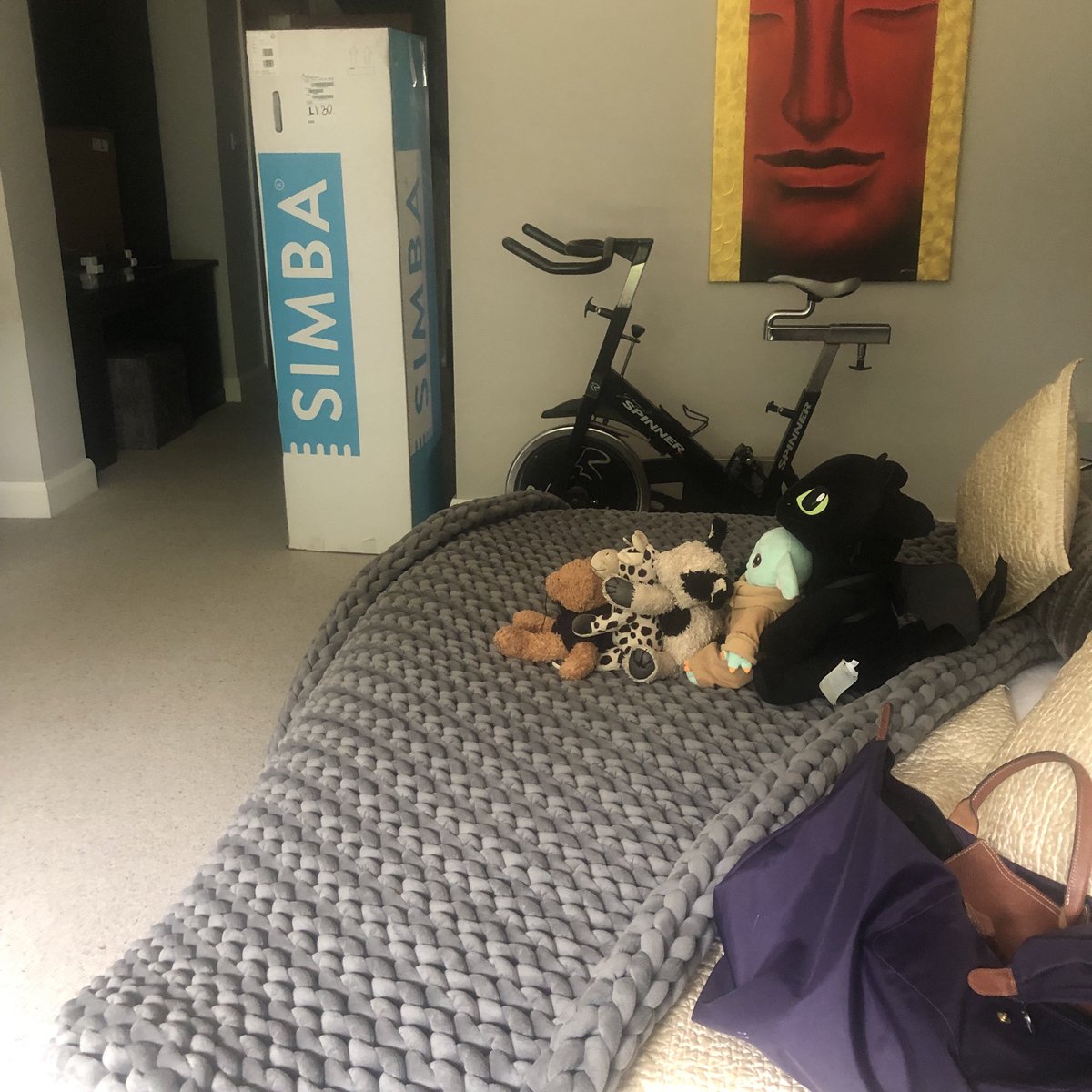 Not what I had in mind. I bought a new Simba mattress. paid for collection of my old one. What I have is Simba in a huge box and no sign or communication of when the old one will be picked up. Maybe in the next 14 days. Shambolic ⁦<a href="/SimbaSleep/">Simba Sleep</a>⁩ do better.